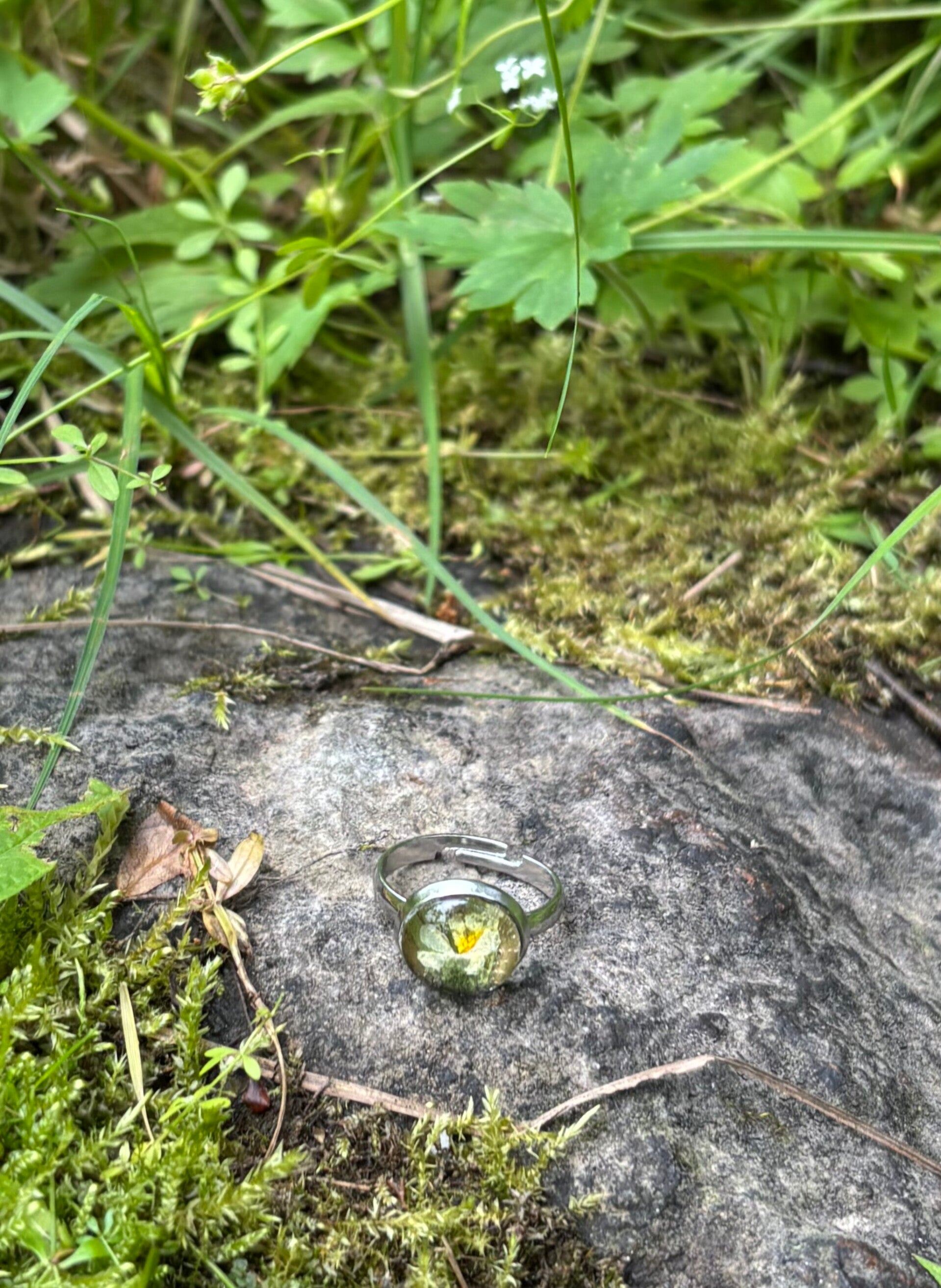 Pelto-orvokki sormus
