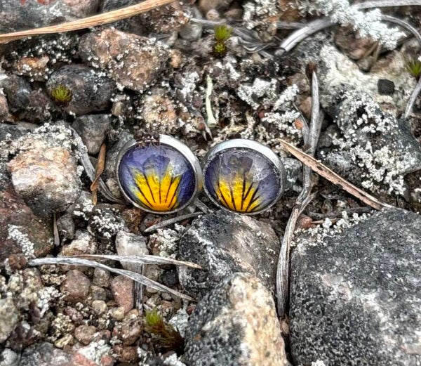 Orvokki XS nappikorvakoru