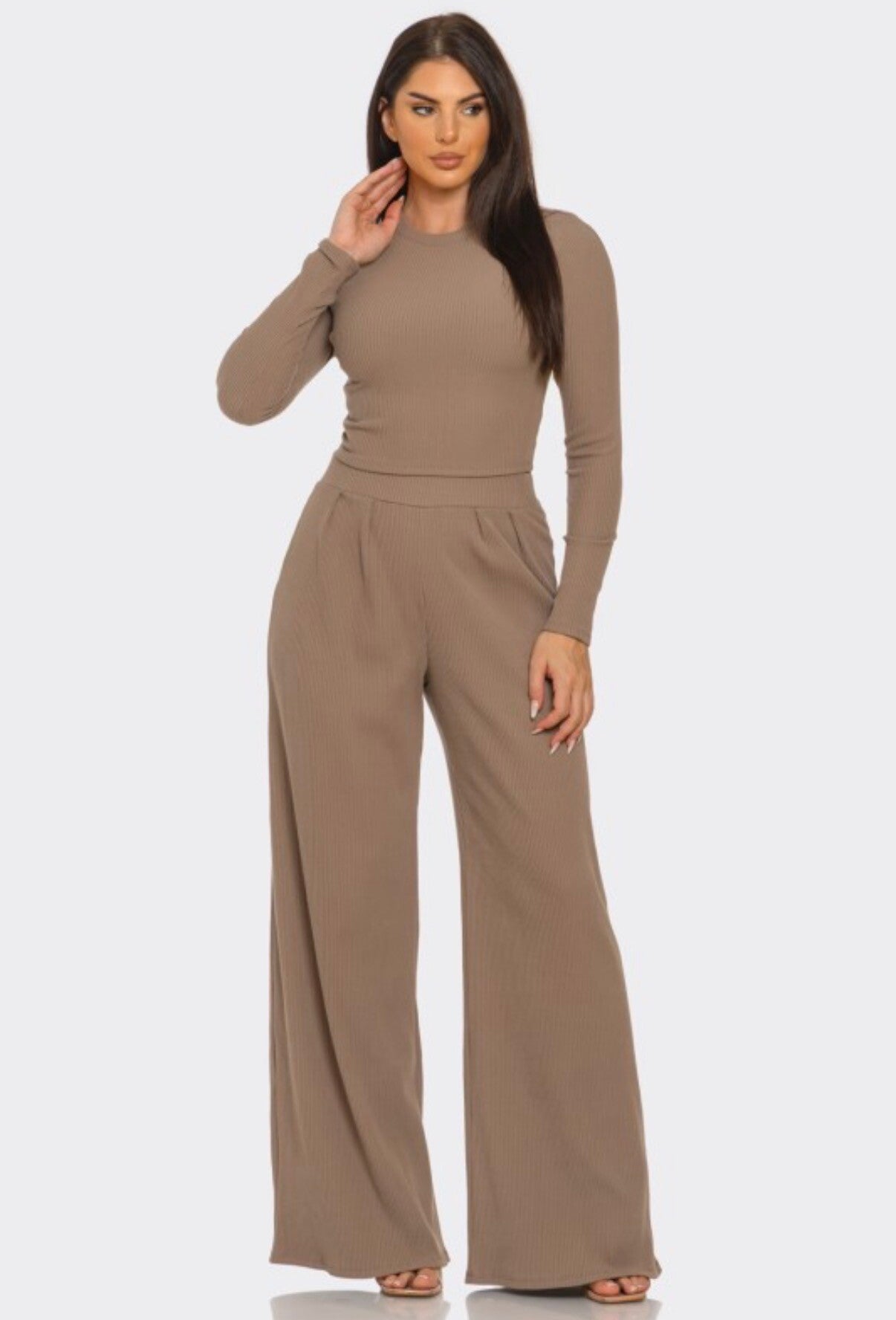 Solid Long Sleeve Crop Top & Pants Set