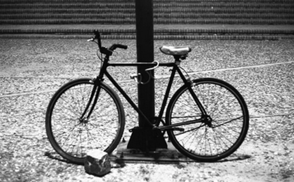 20 september '26 • 13u30 • Fietsen tussen vogels, polders en zee
