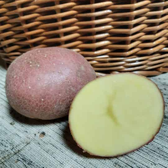 Bellarosa 1 kg