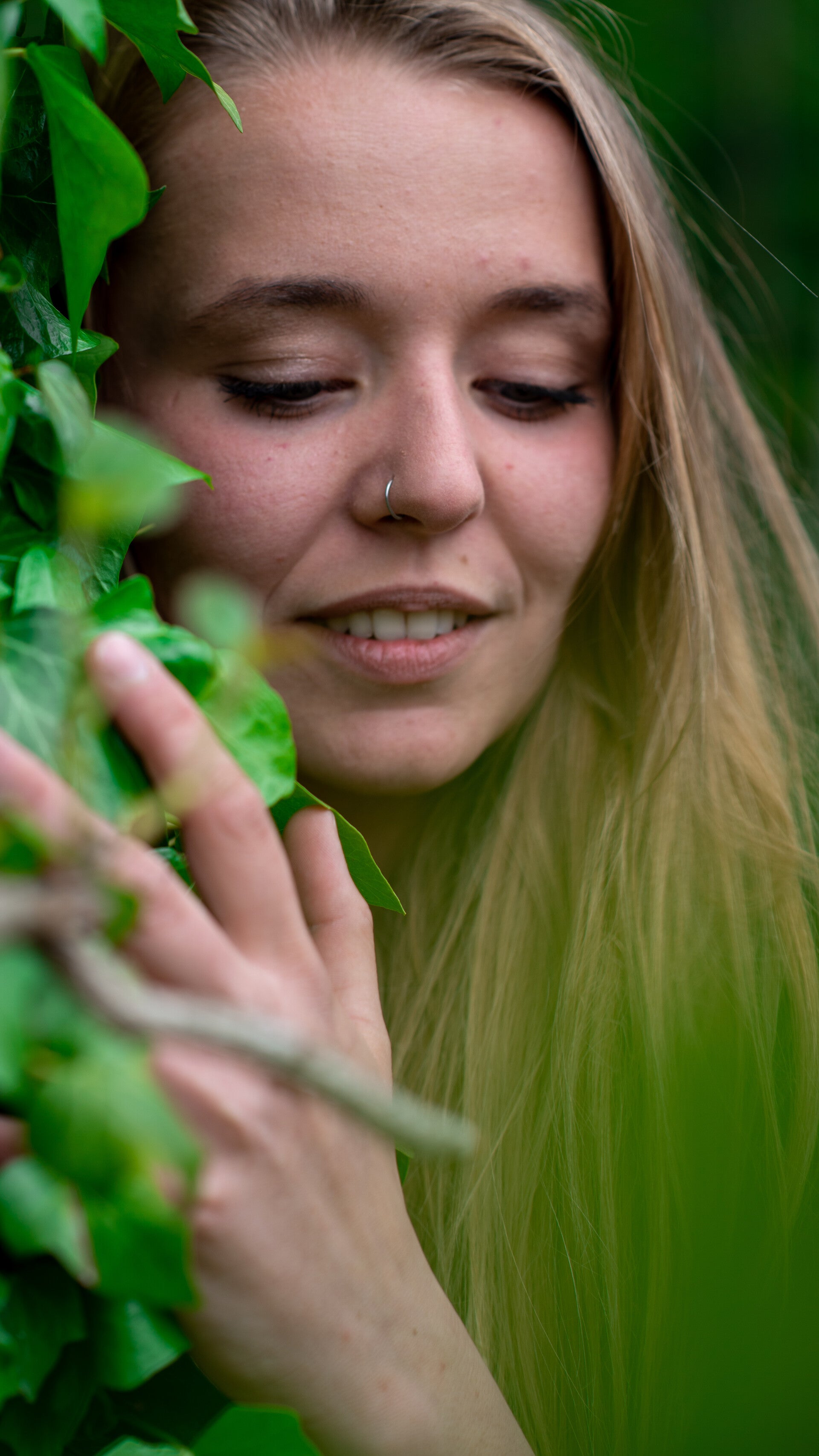 amber01-standard.jpg