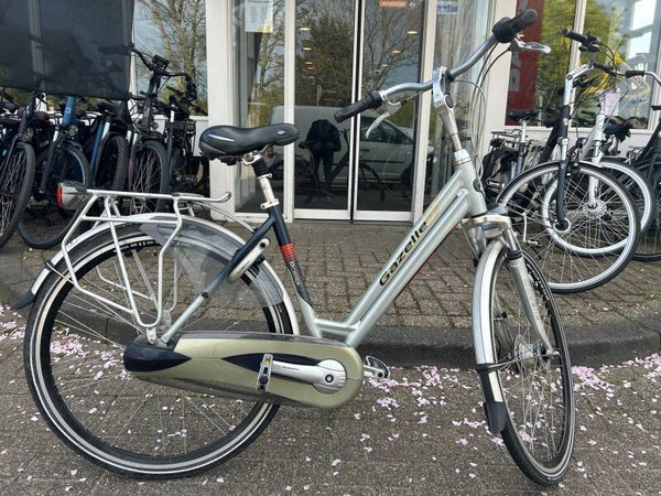 Gazelle Orange 23728