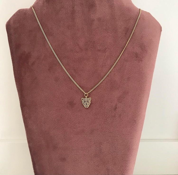 Ketting met leeuwenkopje