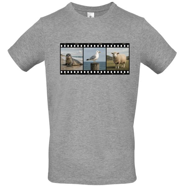 Maritim Film Foto