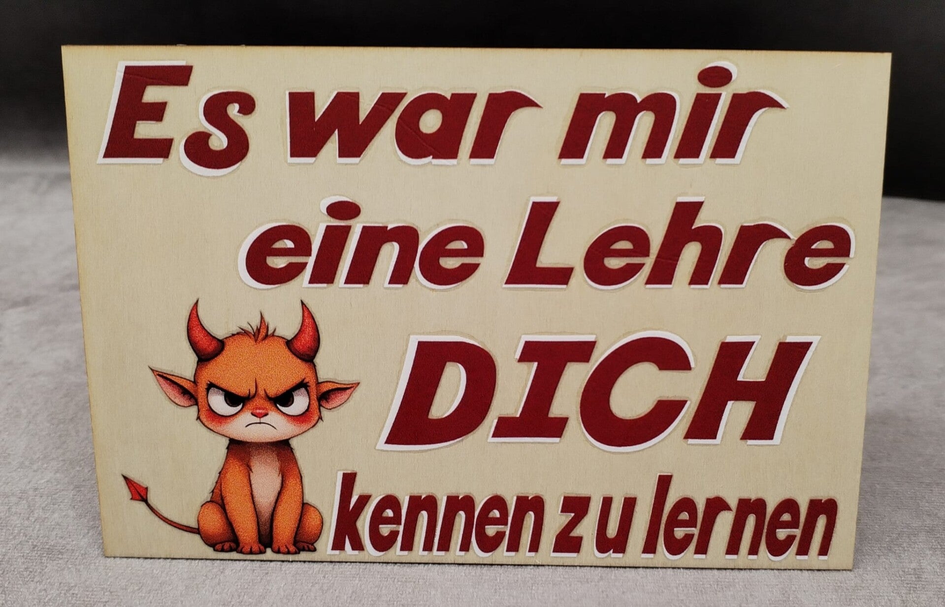 Es war mir eine Lehre dich kennenzulernen