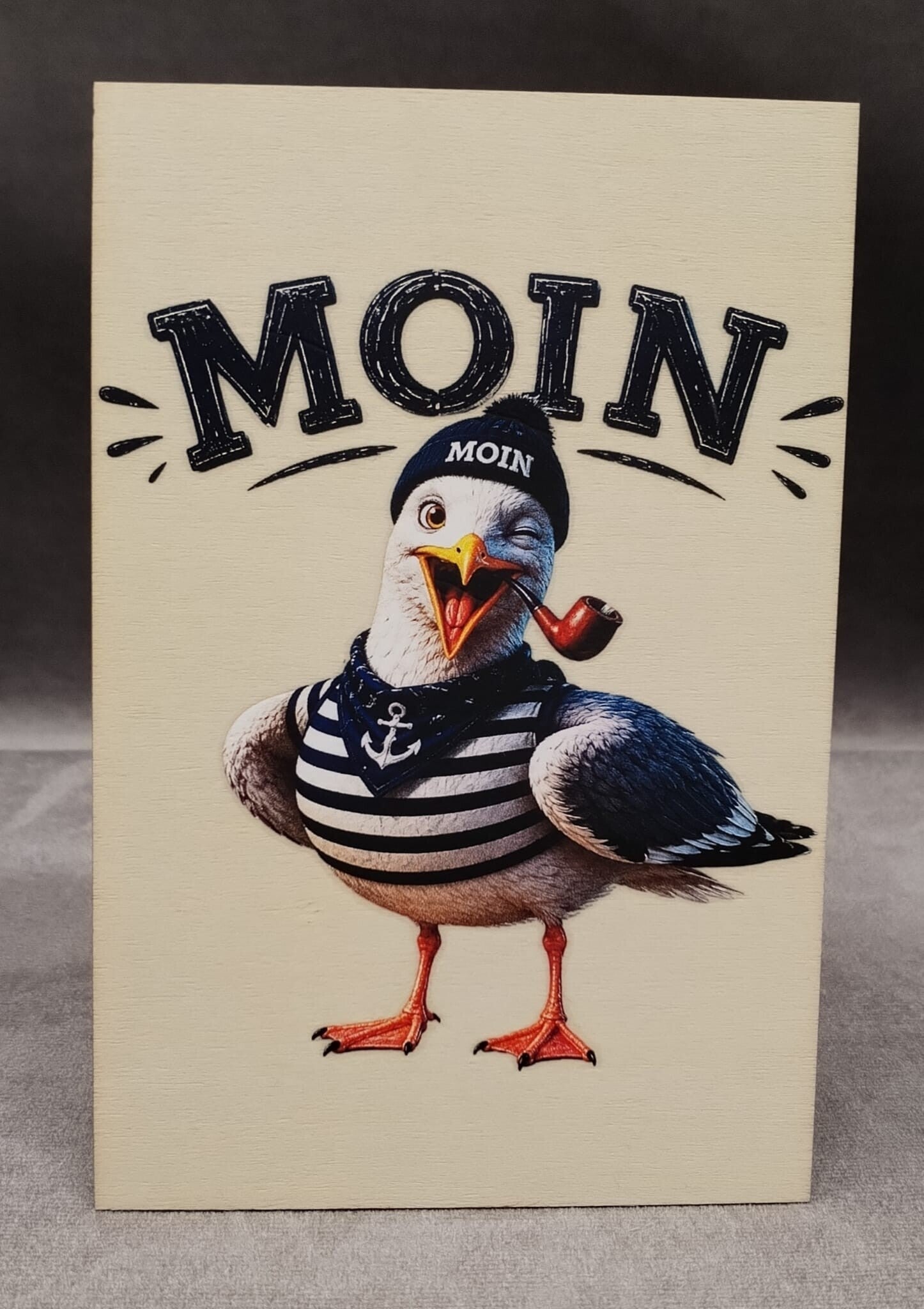Moin Möwe