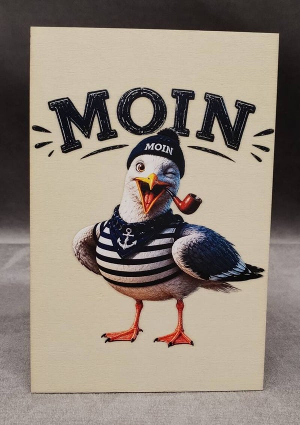 Moin Möwe