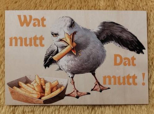 Watt mutt dat mutt