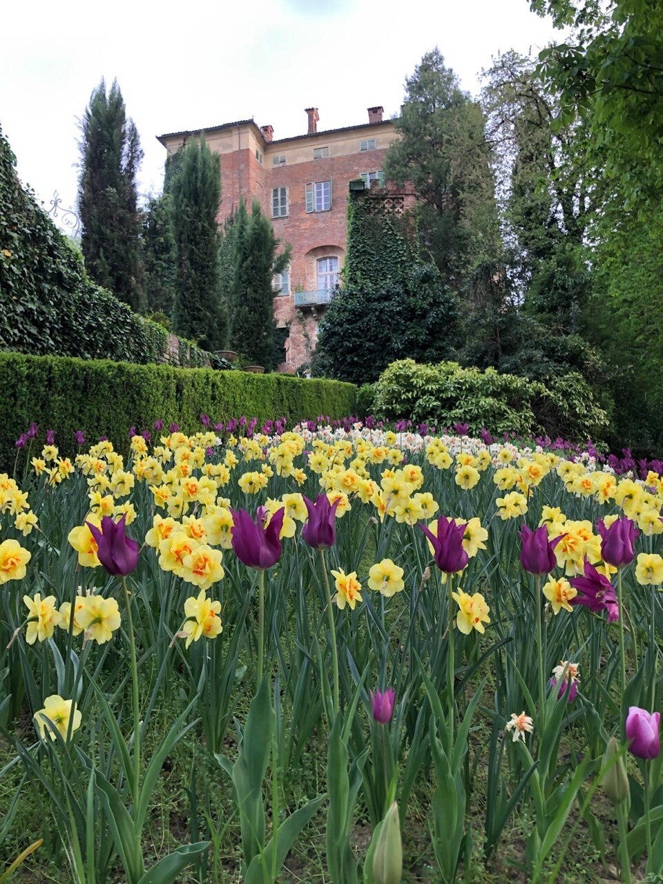 CASTELLO DI PIEA D’ASTI