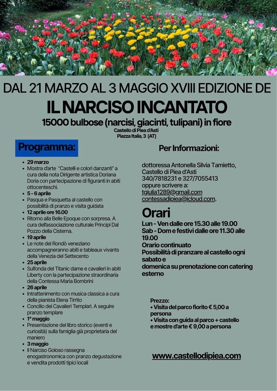 locandina - il narciso incantato