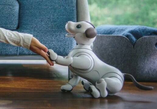 Aibo, cane robotico