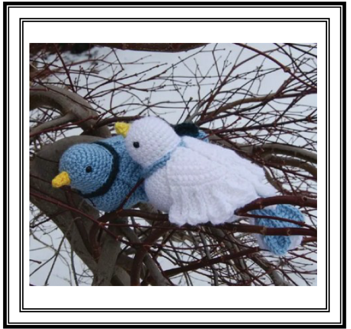 OISEAUX N°02 - Colombe / Pigeon