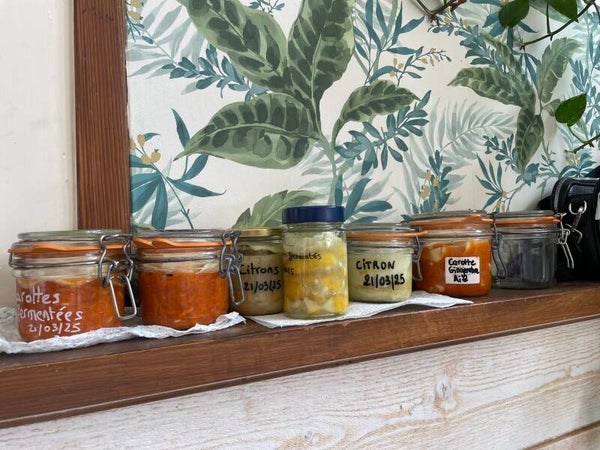 Atelier - Lactofermentation en visio mercredi 28 octobre à 14h