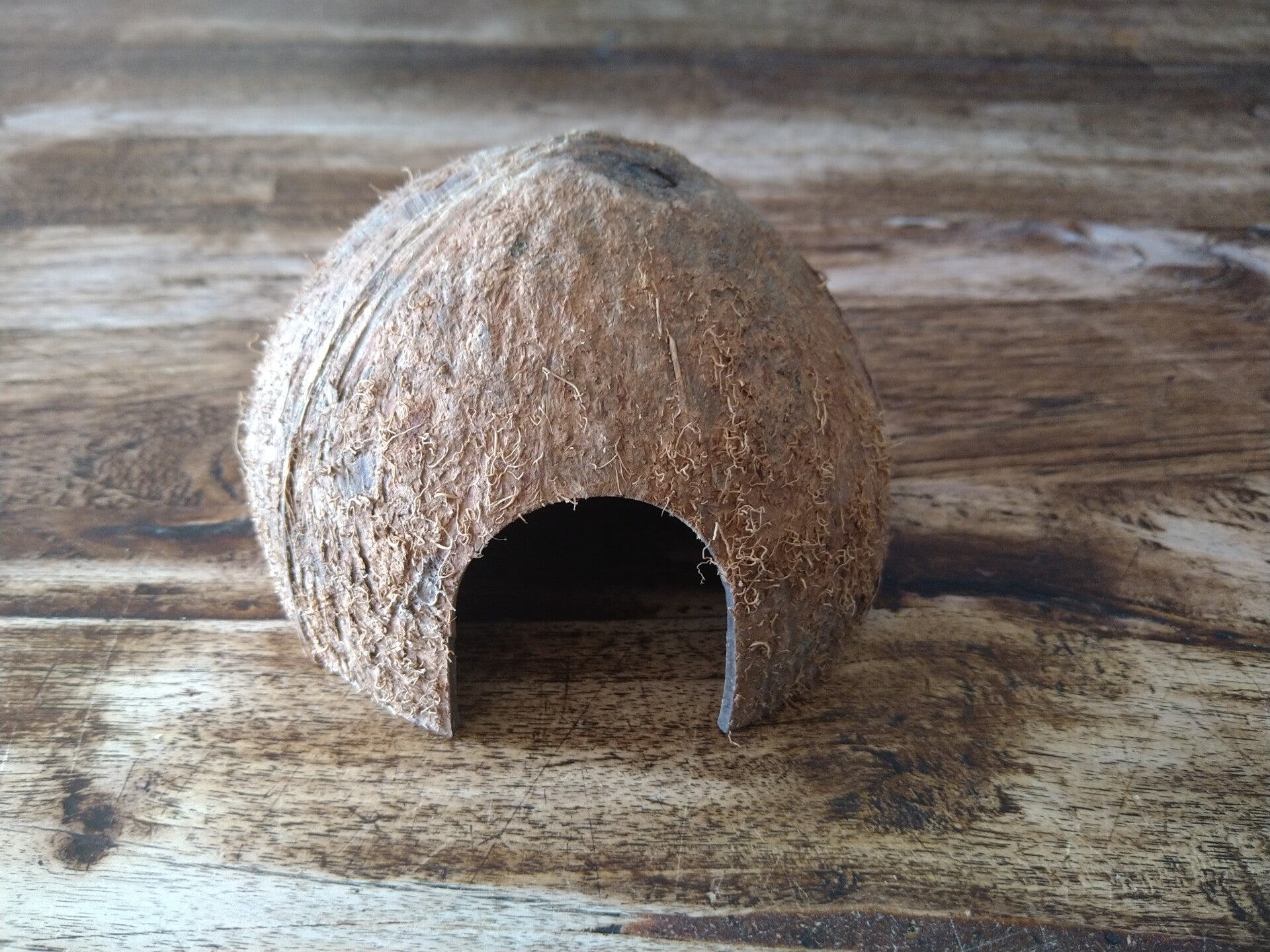 Holletje van een Kokosnoot