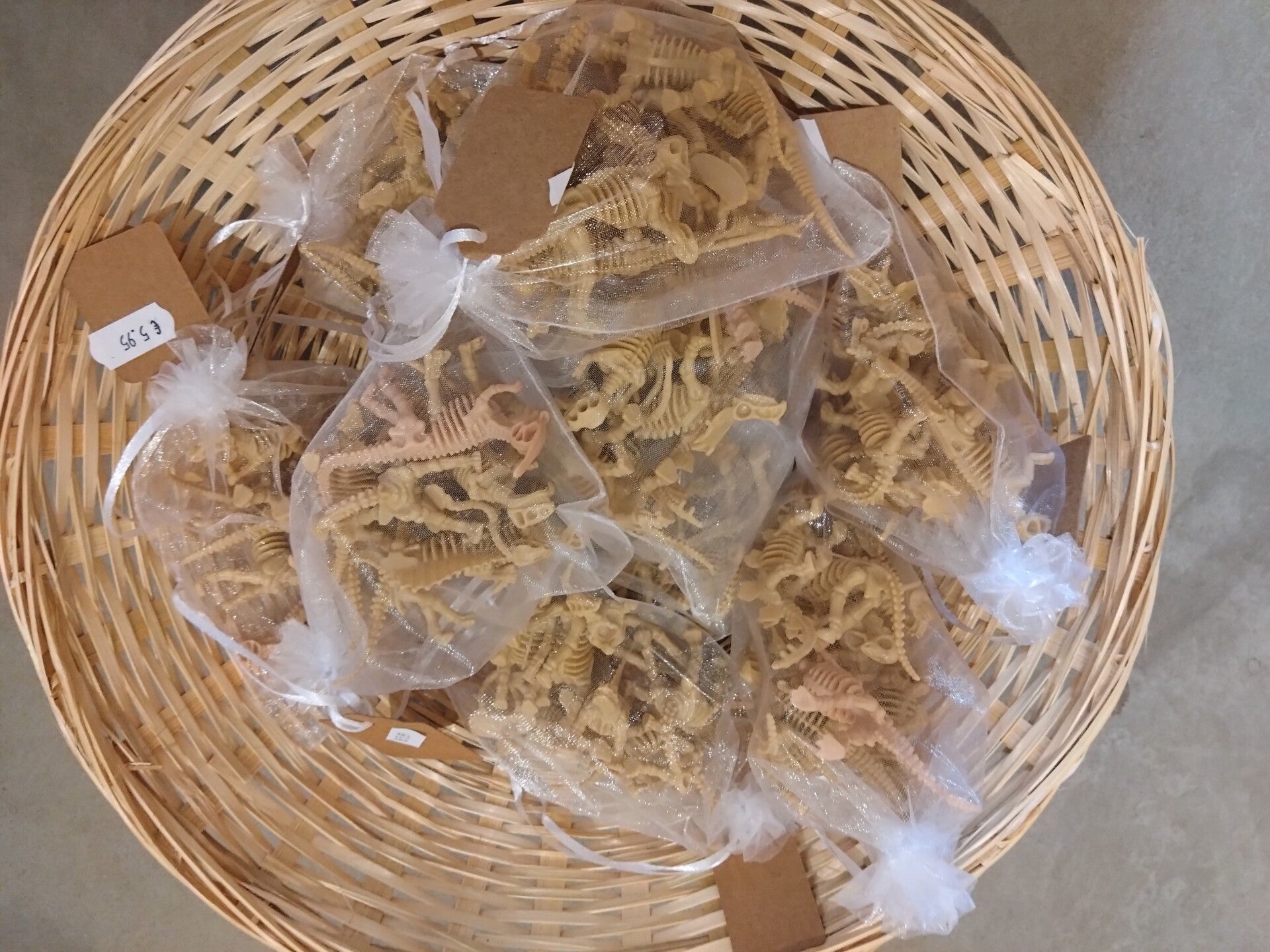 Zakje dino geraamtes