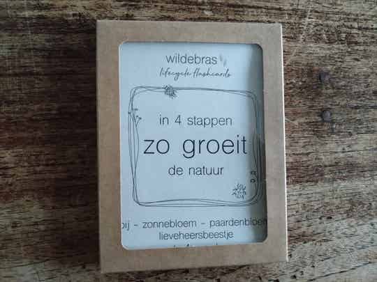 Kaarten wildebras cyclus zonnebloem, paardebloem en lieveheersbeestjes