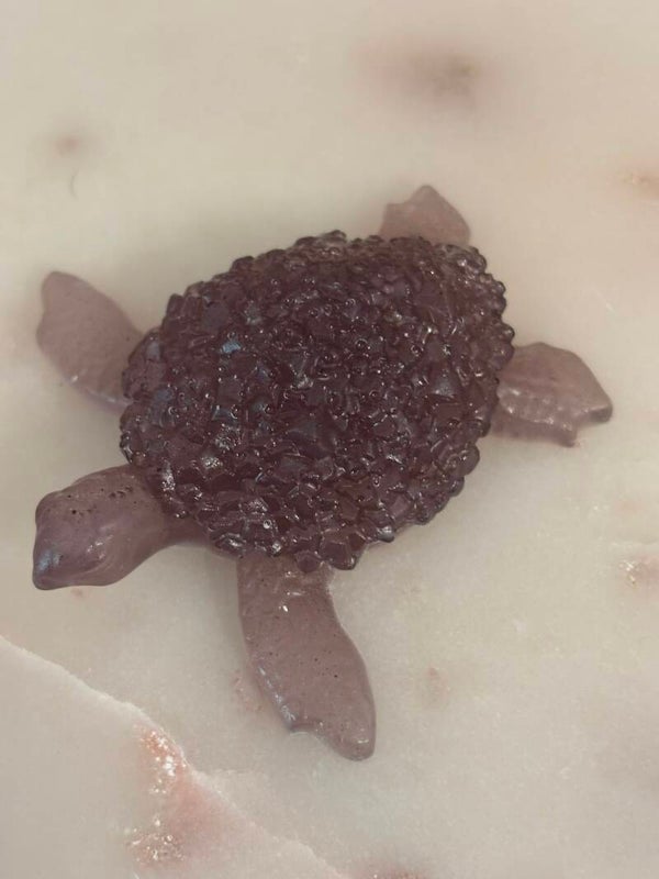 Schildpad met kristal
