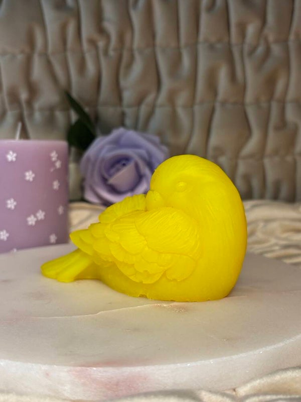 Slapende vogel