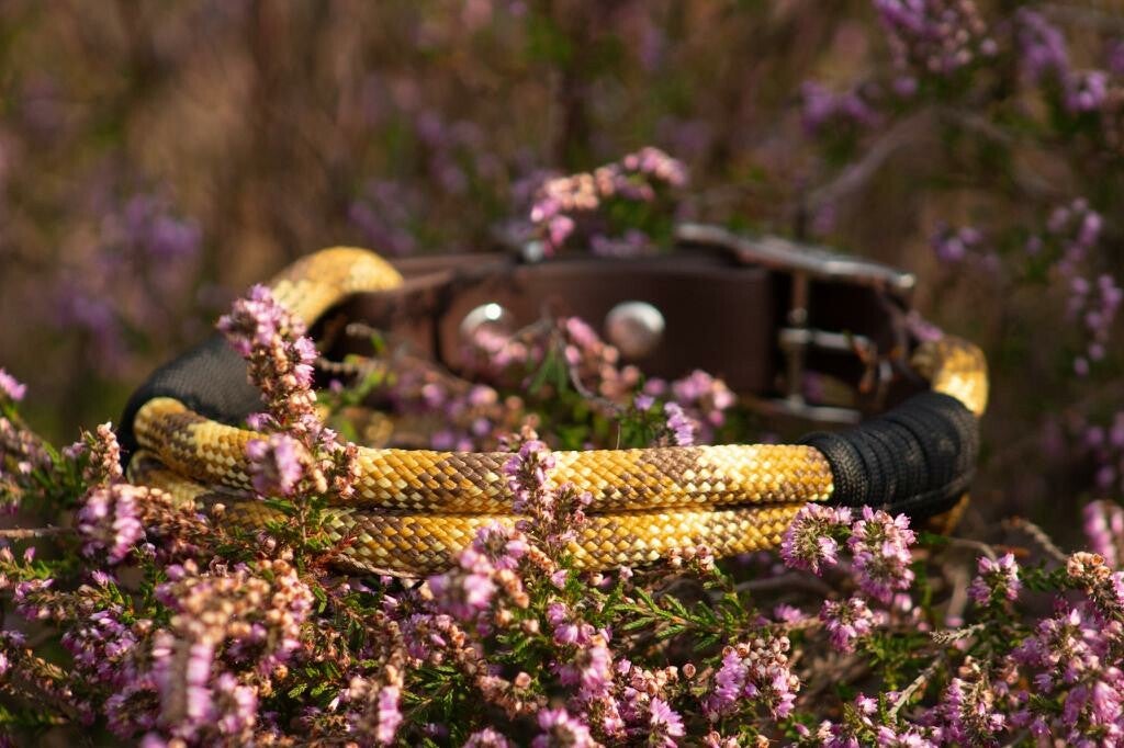 Savanna PPM Halsband (Collar)