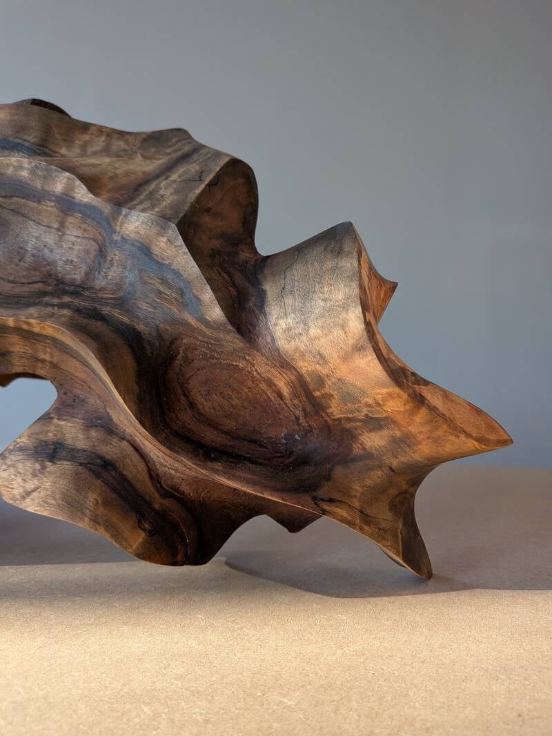 My Shell - 2025 - Available at Galleri Hammar
