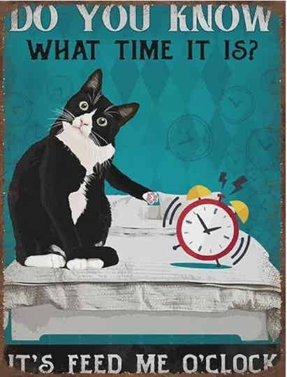 Feed Me Cat KITCHEN Retro Metal Sign KITCHEN cave GIFT Kitchen A5 A4 A6