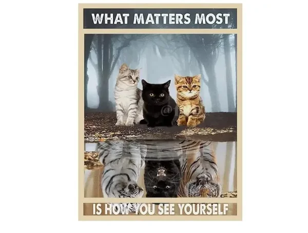 WHAT MATTERS MOST KITTENS CAT SIGN A6 A5 A4 METAL RETRO LOOK PRINTED SIGN GIFT