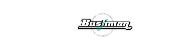 BSA BUSHMAN CLASSIC CLEAR BACKGROUND NO WHITE Decals BIKE Motorcycle x2