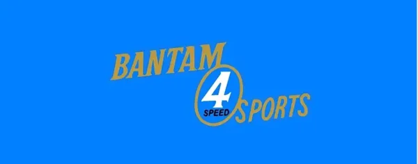 BSA BANTAM 4 SPEED SPORTS 1968 -69 BIKE Motorcycle