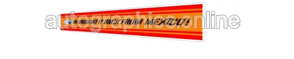 WE BROUGHT IT BACK FORD MEXICO REAR SCREEN RETRO DEALER STICKER CLEAR BACKED