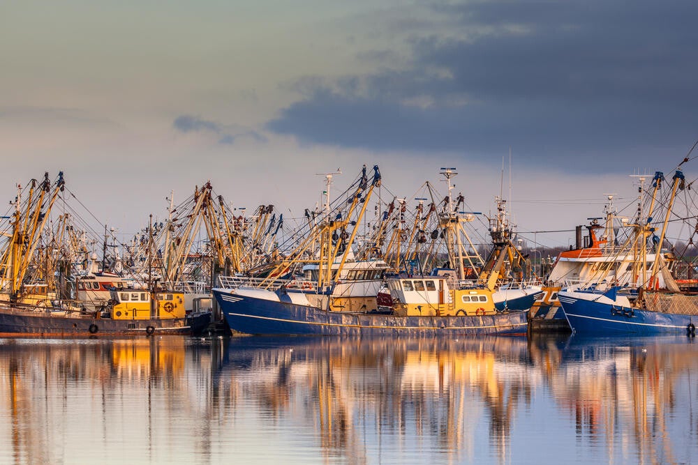 Vissershaven met garnalenkotters in Lauwersoog