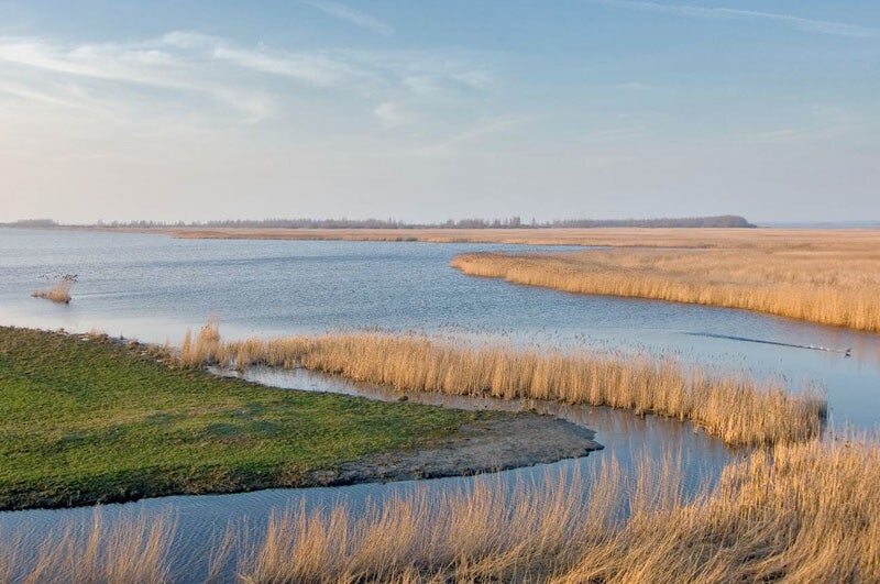 Natuur en water in Nationaal Park Lauwersmeer