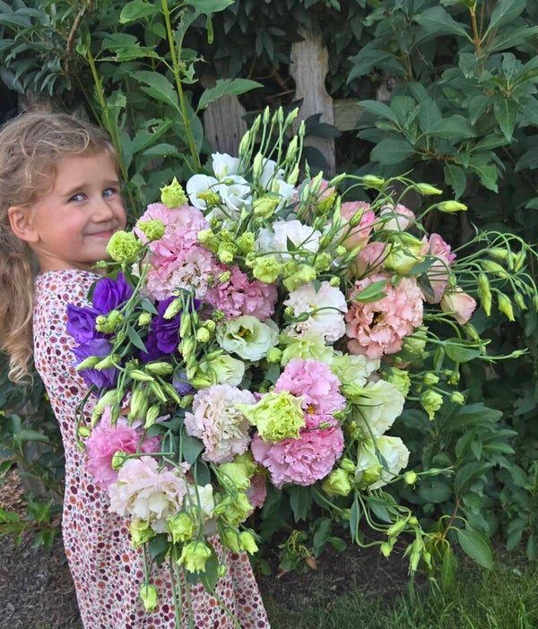 Lovely Lizzy Wrapped Bunch