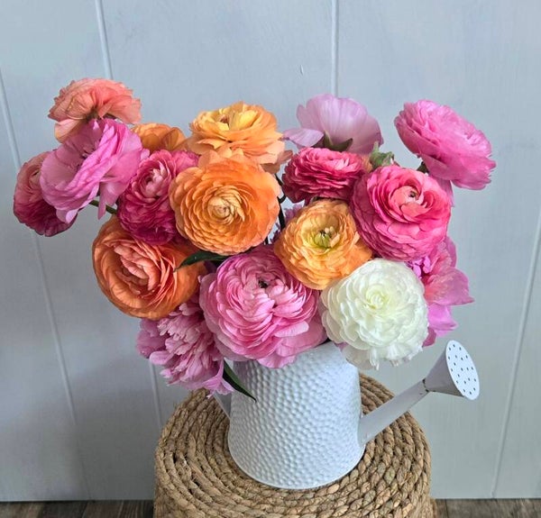 2027 Spring Flower Joys