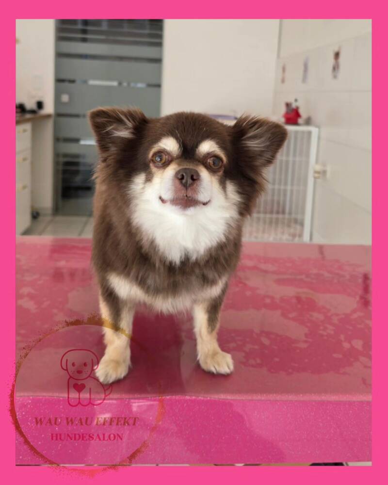 Fluffy