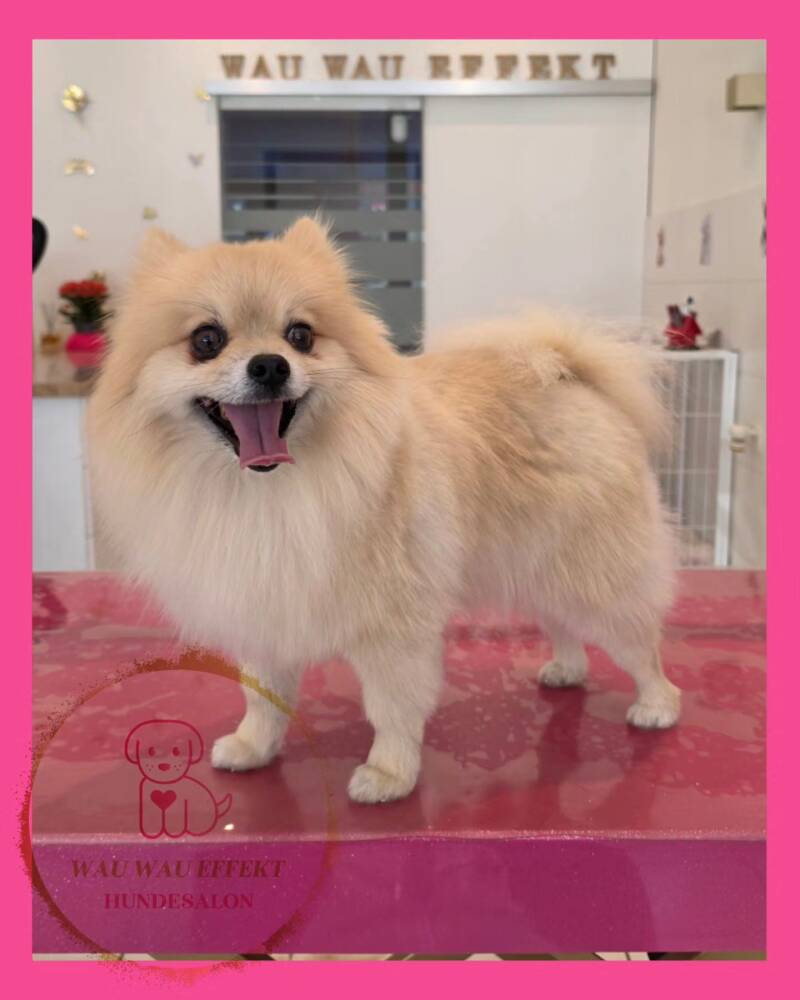 Balu