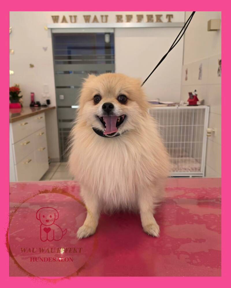 Balu