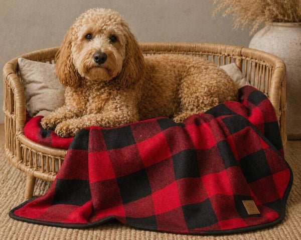 Serengeti Pet Blanket Medium