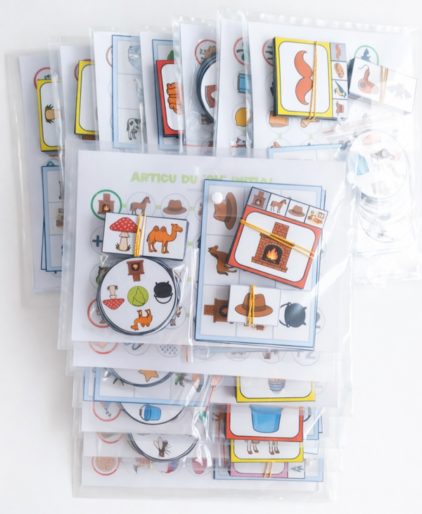 Pack des 13 pochettes d'articulation