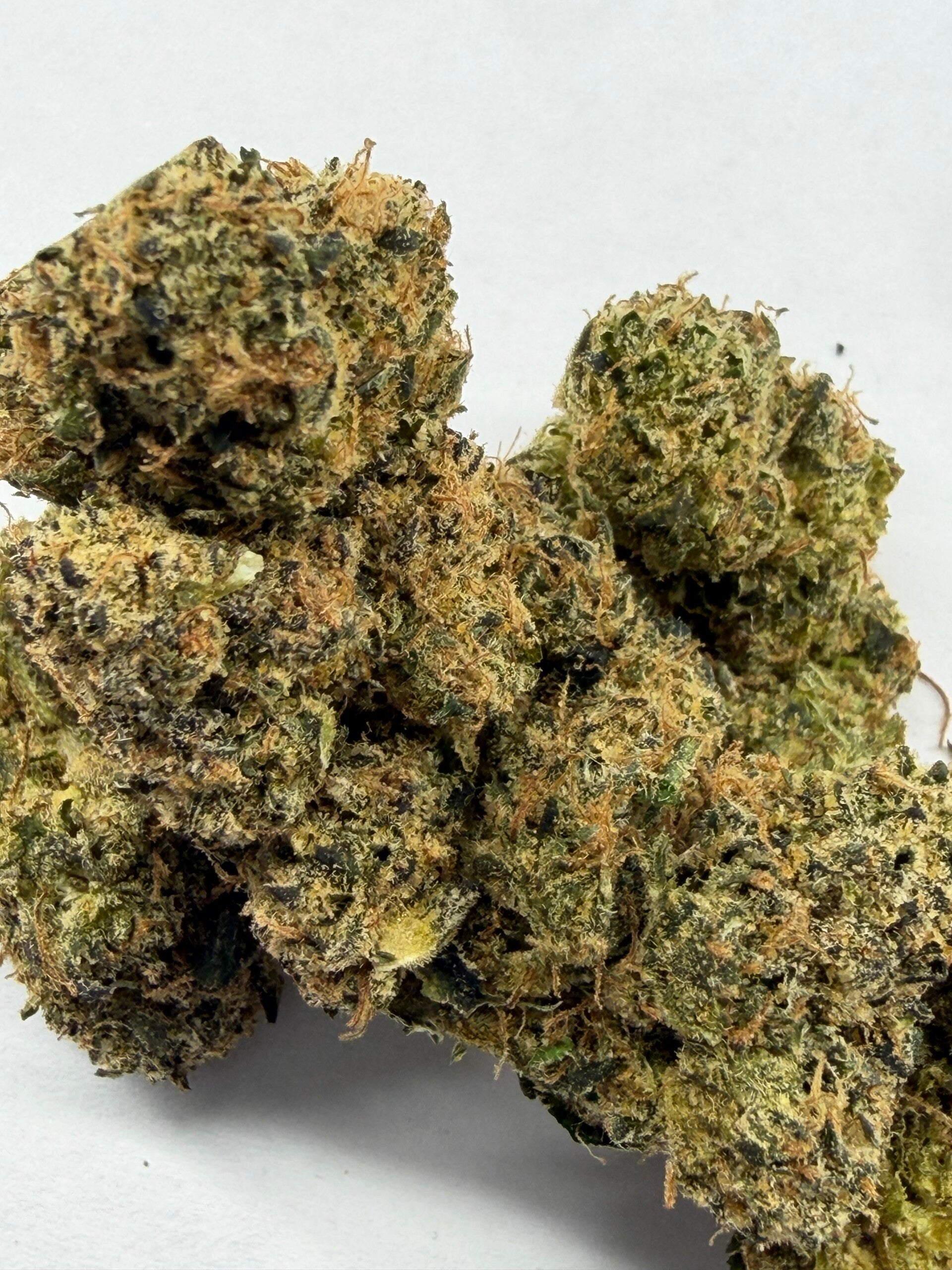 White Widow