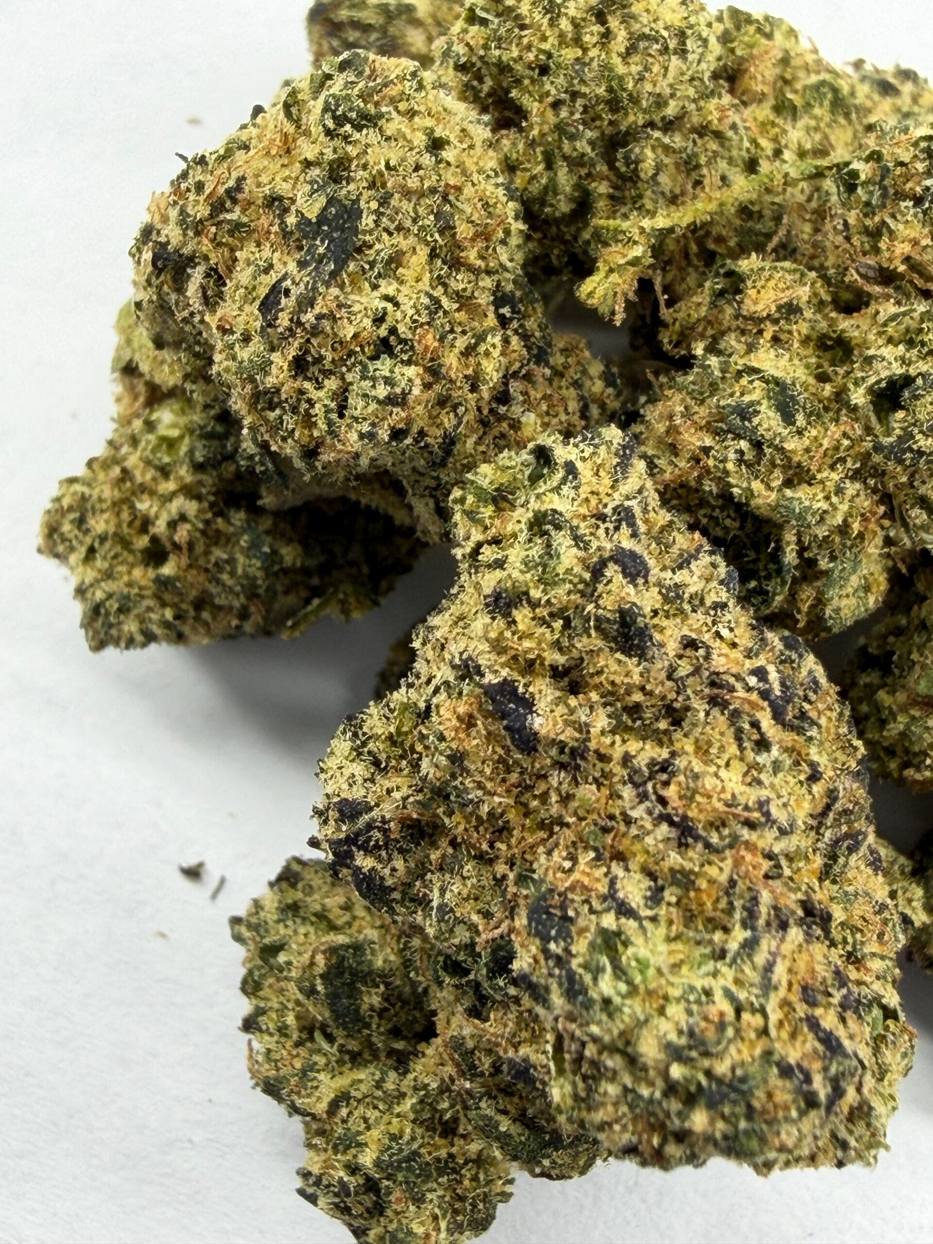 Gorilla Glue Premium