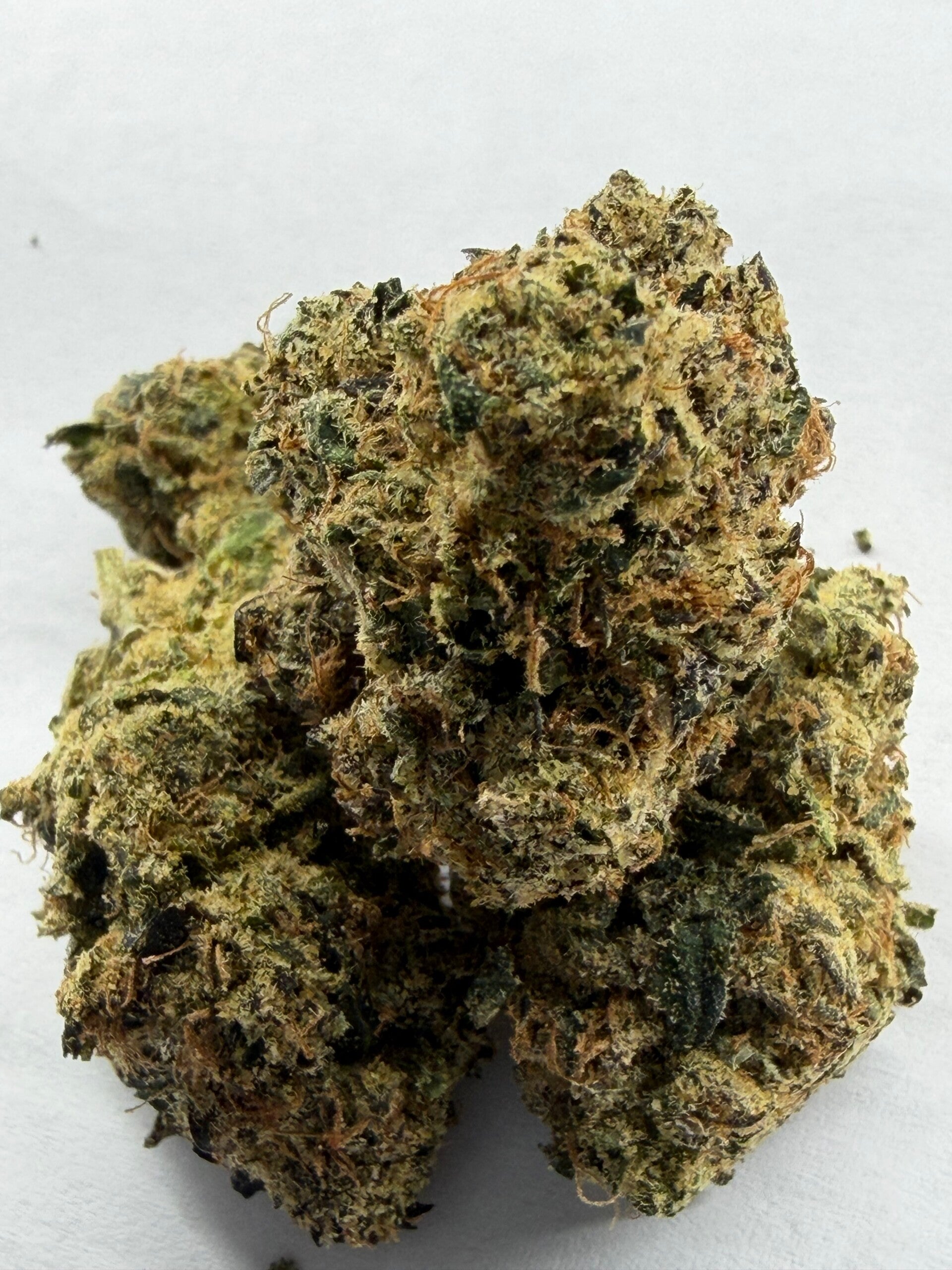 GSC Kush