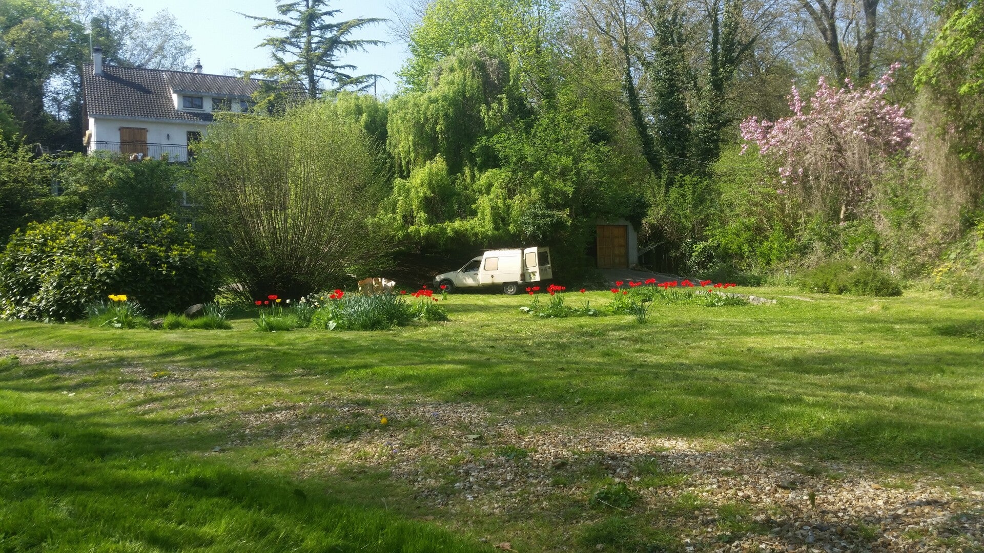Entretien de jardin et tonte dans les Yvelines