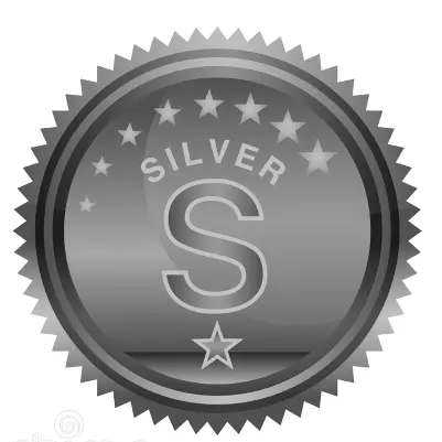 Sponsor Zilver