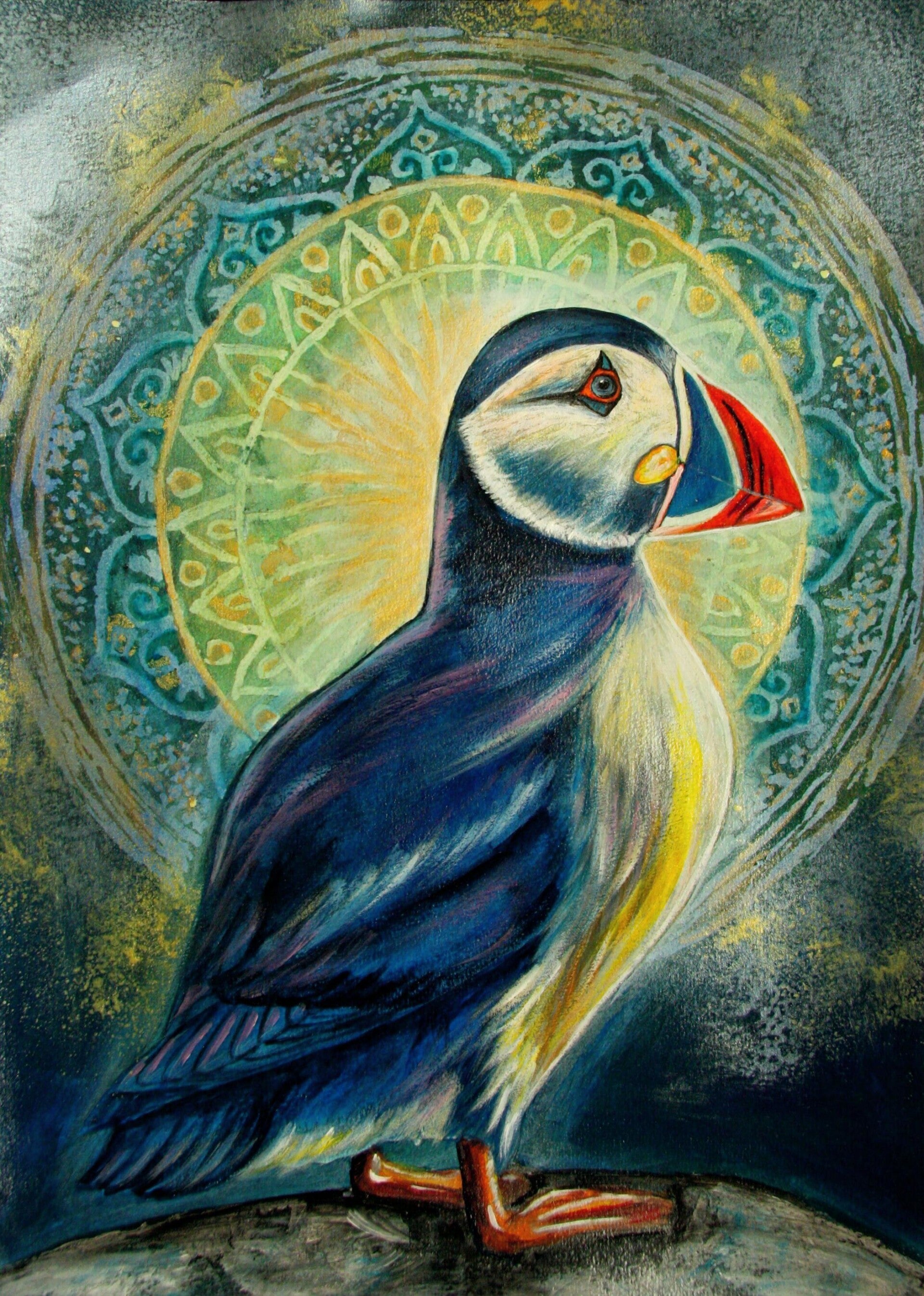 Puffin