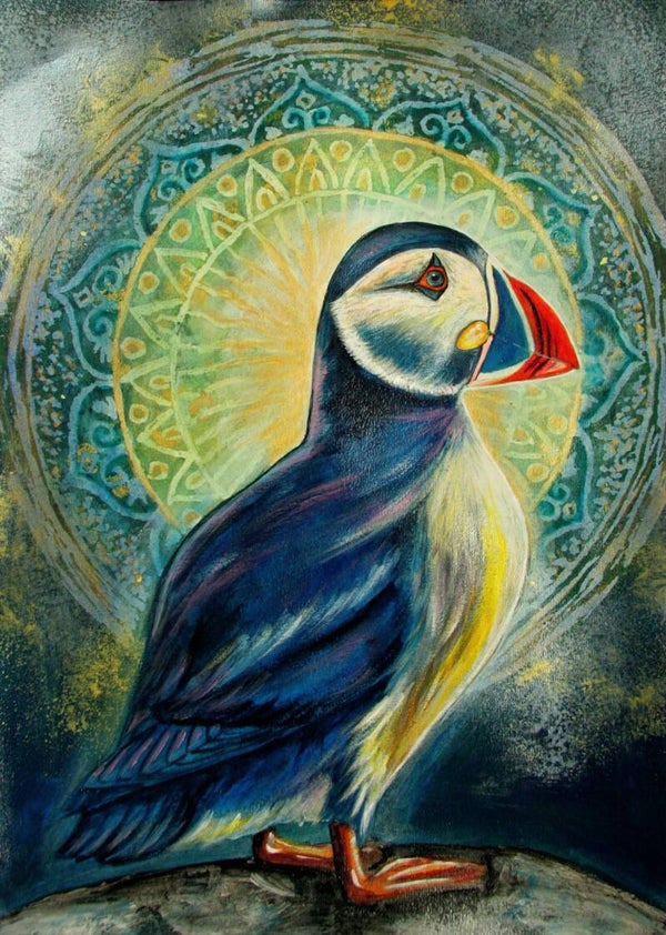 Puffin