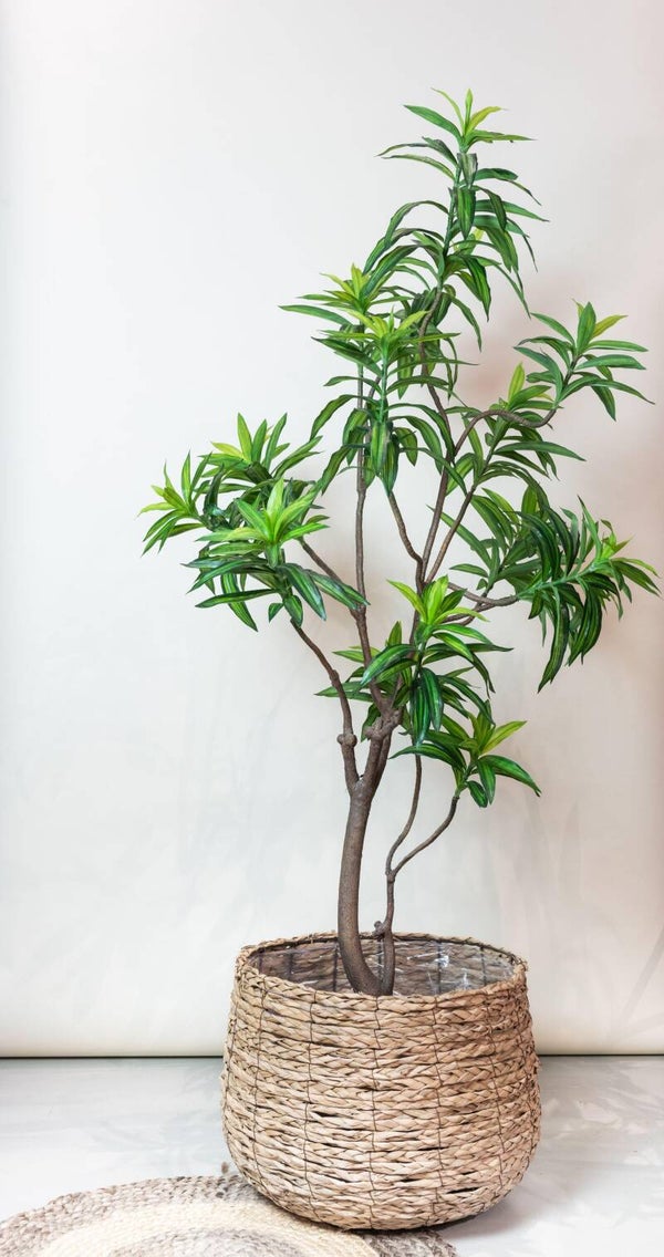 Kunstplant - Dracaena - Drakenboom