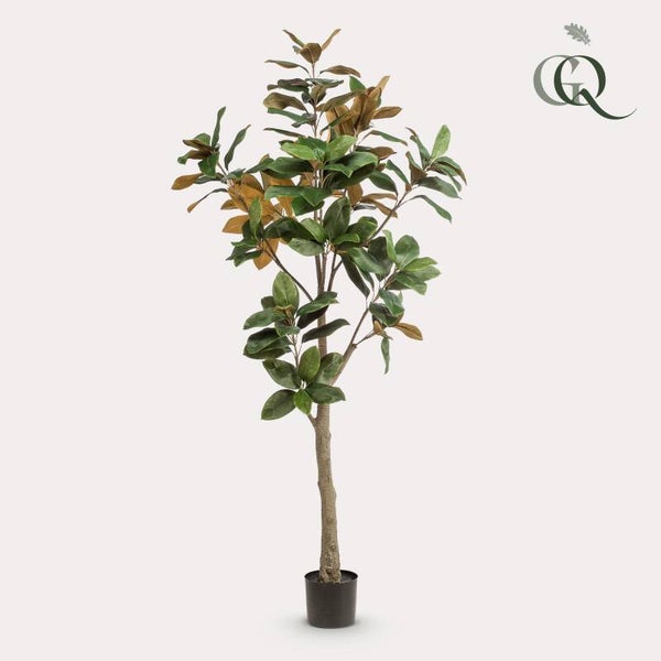 Kunstplant Magnolia Grandiflora