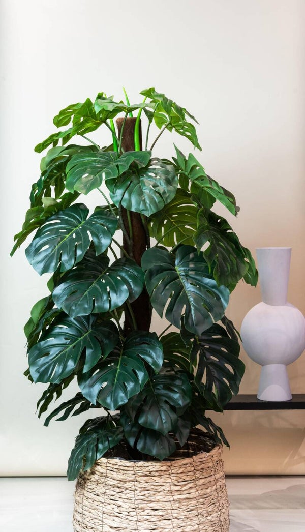 Kunstplant Monstera Deliciosa