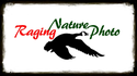 dcmi / Raging Nature Photo